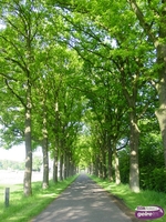 Zoekplaatje: ken uw dorp in 2013