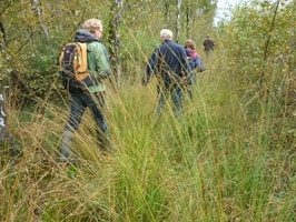 Veenexcursie in het Korenburgerveen