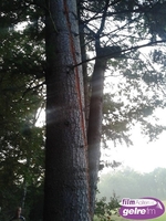 Overlast in Aalten door regen en onweer