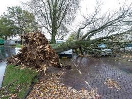 Bestuurster bekneld in auto door omgevallen boom Dinxperlosestraatweg, Aalten.