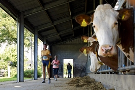 Ruim 300 deelnemers aan start  ABN AMRO Marathon Nationaal Landschap