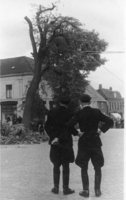 Zoekplaatje: storm Aalten 1952: ontwortelde boom druk voorgevel van hotel in.