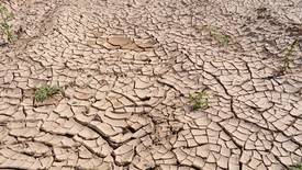  Het is nergens zo droog als in de Achterhoek