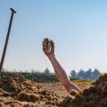 Bijzondere archeologische vondst festivalterrein De Schans